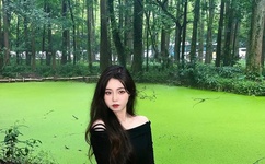 李玉超司令被抓了吗